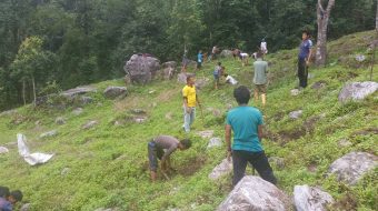 चुरे दिवसमा बृक्षारोपण