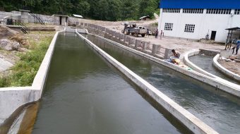 माथिल्लो माईखोला केन्द्रीय प्रसारणमा