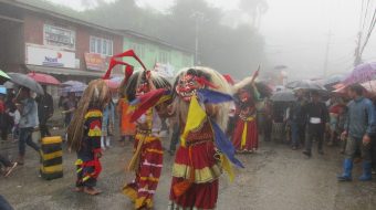यसरी मनाइयो इलाममा गाईजात्रा 