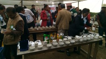 अर्थोडक्स चियाको बजार विस्तार गर्न इलाममा टि टेस्टिङ्ग कार्यक्रम