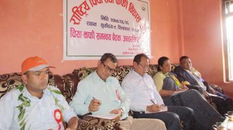 राष्ट्रिय चिया निती कार्यान्वयन नहुँदा चिया क्षेत्रमा समस्या
