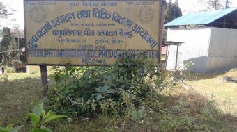 निजीसंग प्रतिस्पर्धा गर्न नसक्दा सरकारी चिज उद्योग रुग्ण