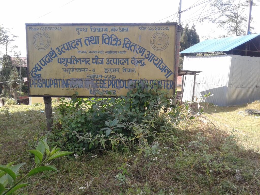 निजीसंग प्रतिस्पर्धा गर्न नसक्दा सरकारी चिज उद्योग रुग्ण