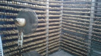 हर्कटेमा दुग्ध उद्योग संचालनमा, किसानलाई फाईदै फाईदा