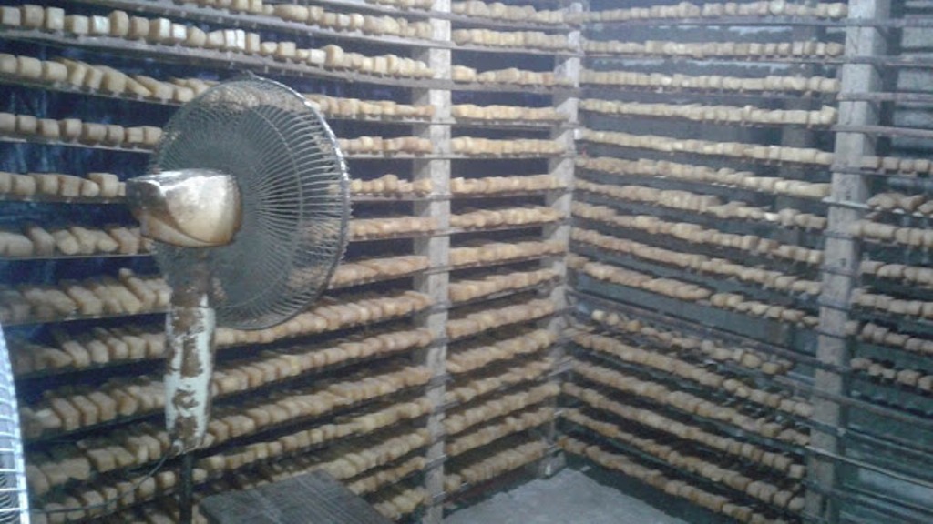 हर्कटेमा दुग्ध उद्योग संचालनमा, किसानलाई फाईदै फाईदा