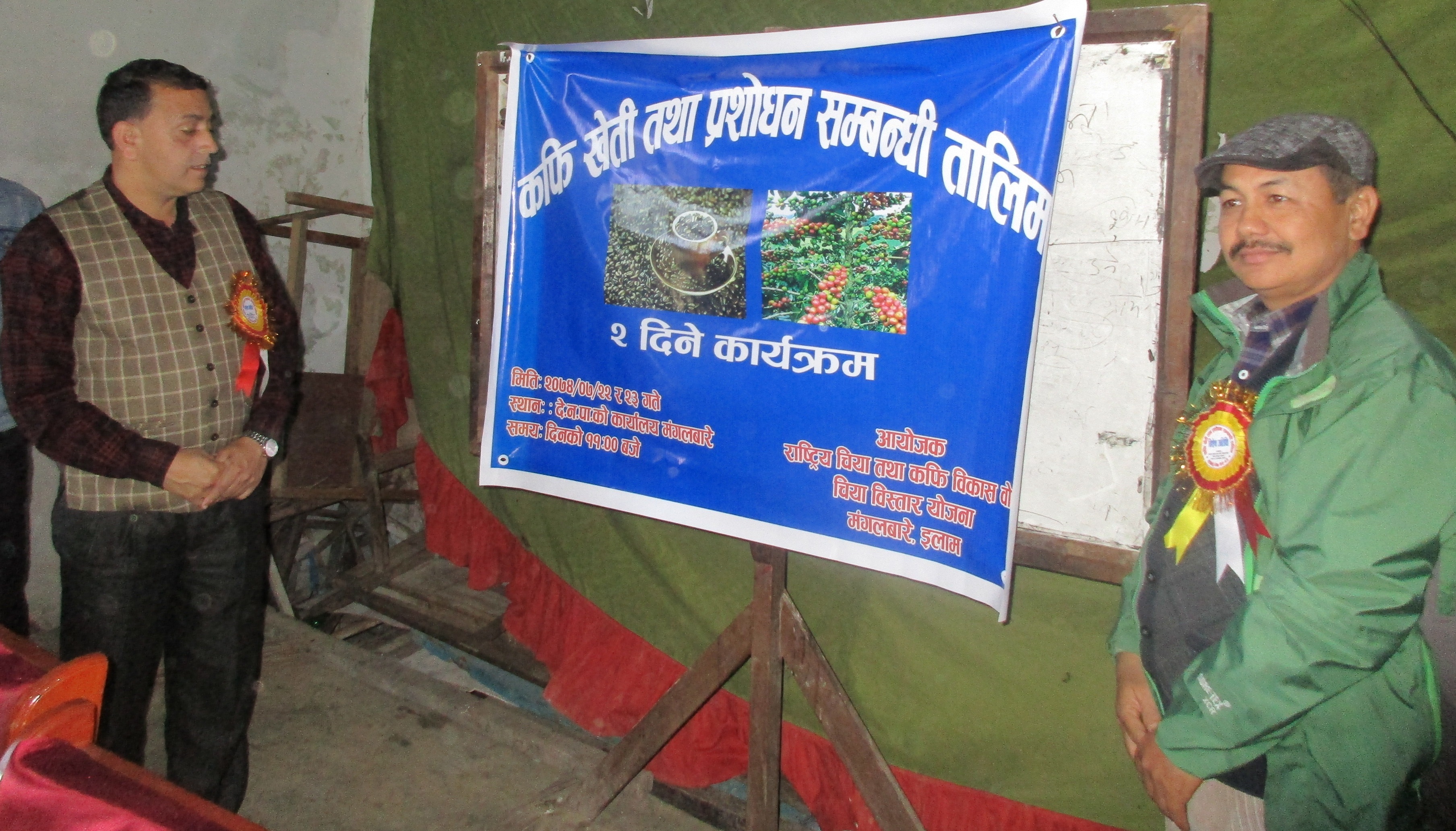 इलाममा कफी खेती भएपनि बजारीकरणको अभावमा फस्टाउन सकेन