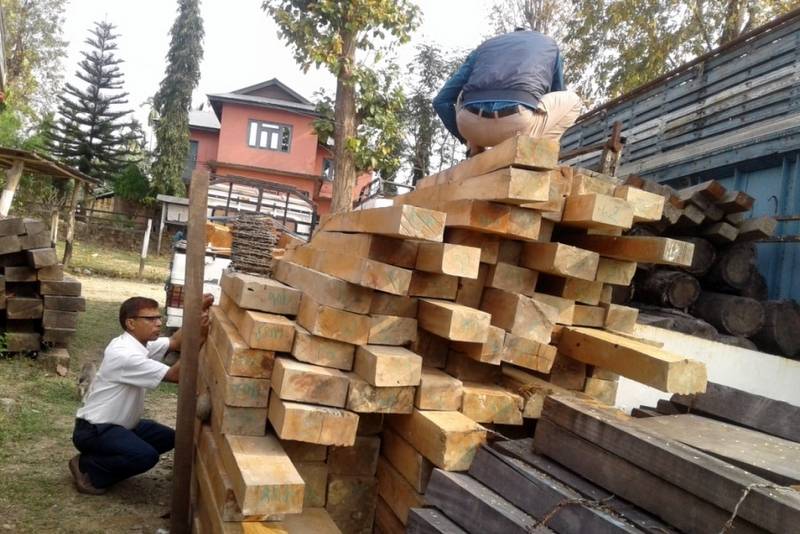 दक्षिणी इलाममा हतियारसहित संगठित रुपमा यसरी हुन्छ काठ तस्करी