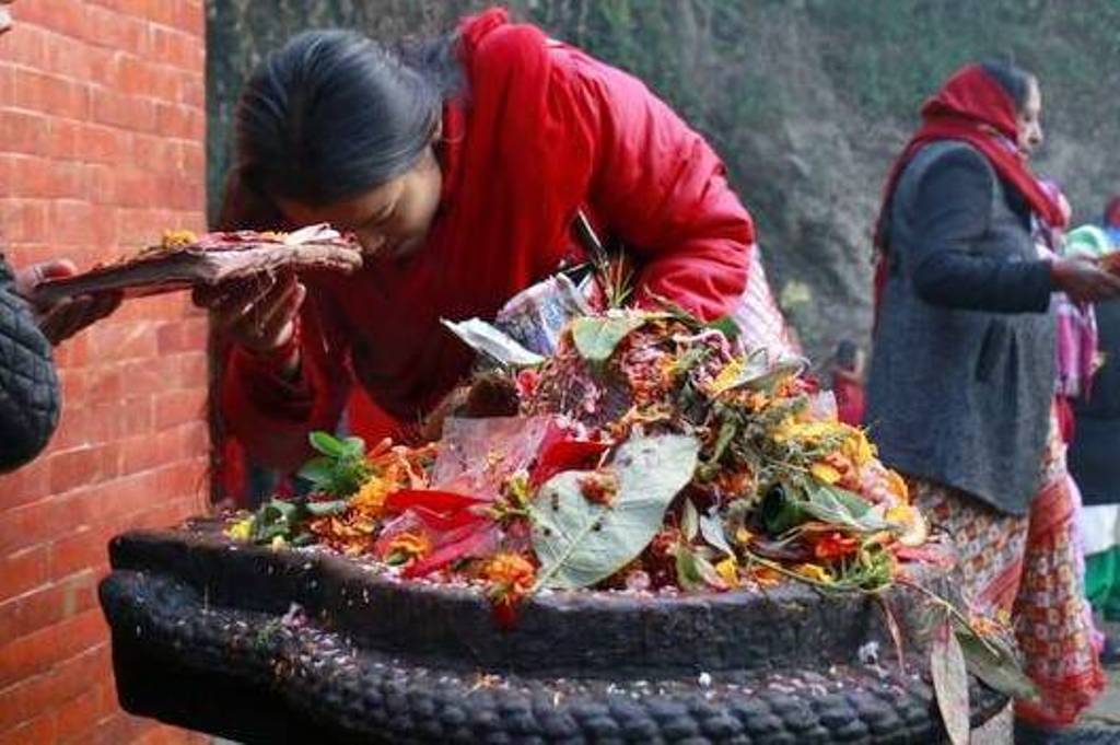 आज धान्य पूर्णिमा, नेवार समुदायको योमरी पुन्हि र किरातहरूको उधौली