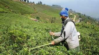 नेपाल कृषि श्रमिक संघको नयाँ नेतृत्व