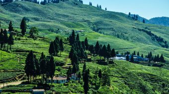 मनकामना दुग्द्य उत्पादक सहकारीको साधारणसभा सम्पन्न