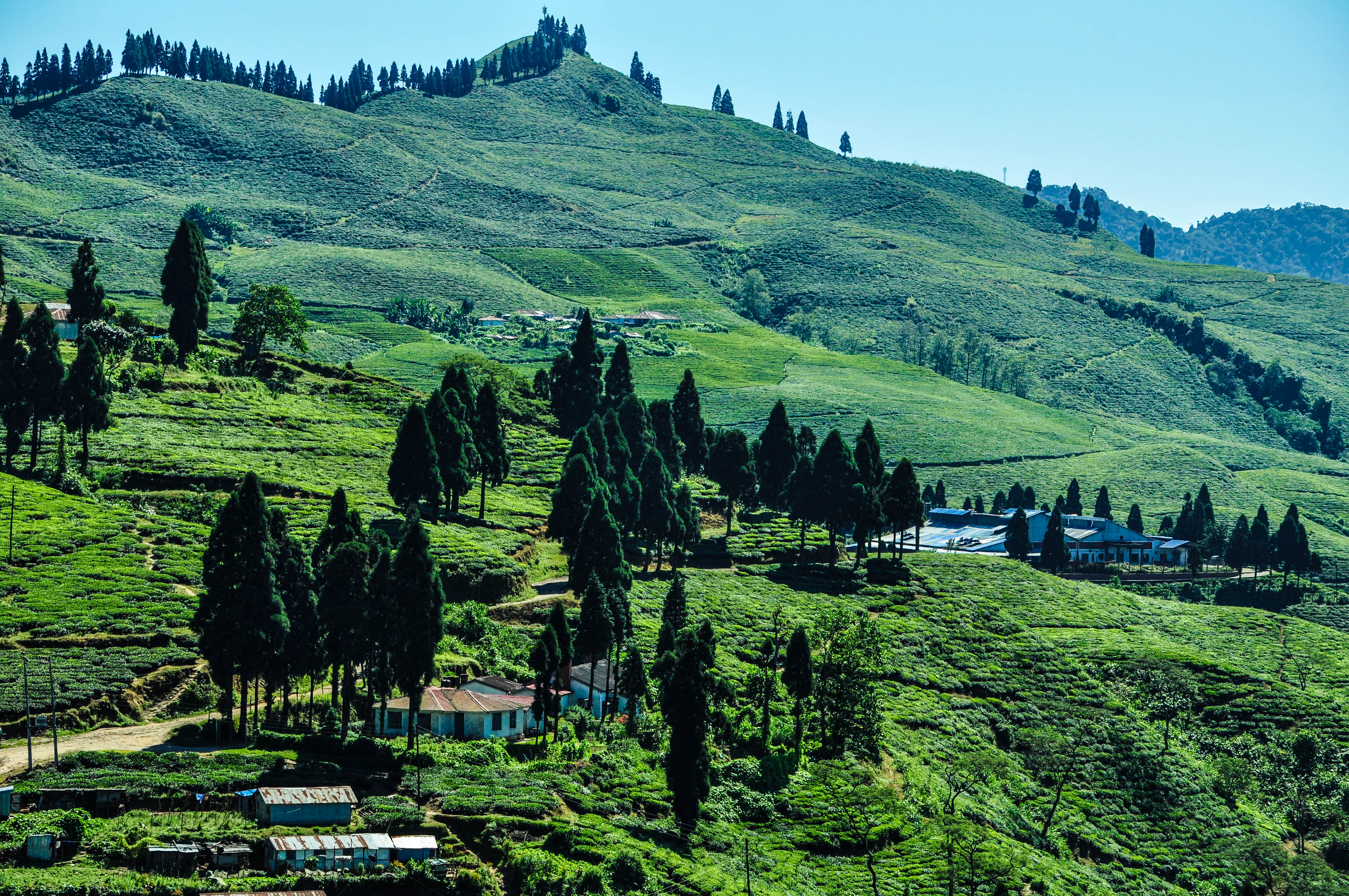 मनकामना दुग्द्य उत्पादक सहकारीको साधारणसभा सम्पन्न