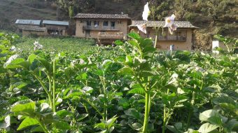 कन्यामका युवाहरु द्वारा कृषि समूह गठन