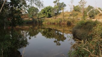 उजाड चुरे क्षेत्रका सिमसार र पानीका मुहान संरक्षण गर्दै गाउँपालिका
