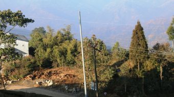 देउमाई नगरपालिका धमाधम काठका पोल हटाउँदै