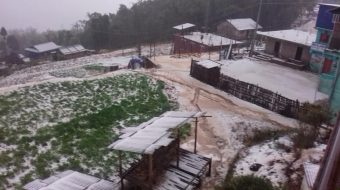 असिनाबाट आलुखेतीमा क्षति