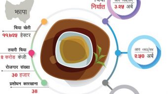 श्रमिकहरूले आन्दोलनको असर :  पहेंलियो हरियो पत्ती