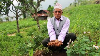 उन्नत बिऊ र प्रविधिले किसानको आम्दानी बढ्याे