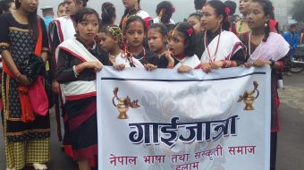 दिवङ्गत भएका आफन्तका सम्झनामा इलाममा पनि गाइजात्रा