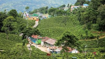 कडा रोगीलाई इलाम नगरपालिकाले १० हजार सहयोग गर्ने