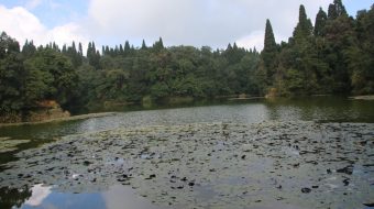 माईपोखरीमा एकादशी मेला भर्नेको भीड,