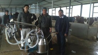 इलाममा डेरी उद्योगमा युवाको आकर्षण, बर्सेनि थपिँदै करोड लगानी