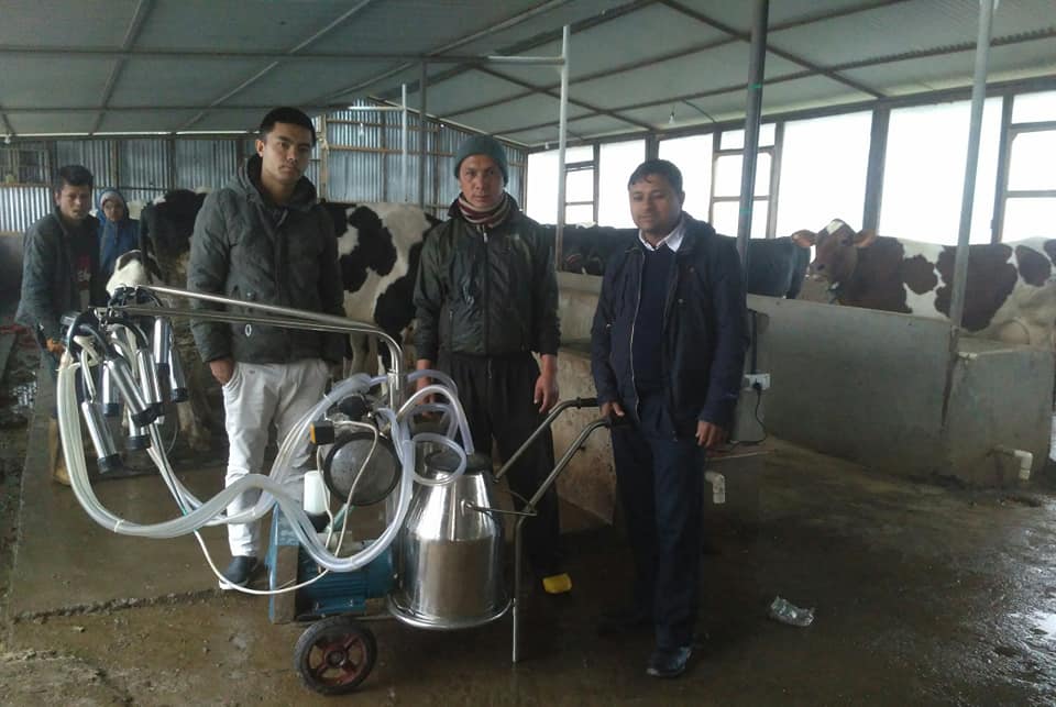 इलाममा डेरी उद्योगमा युवाको आकर्षण, बर्सेनि थपिँदै करोड लगानी