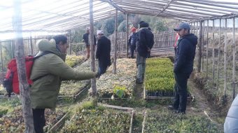 सन्दकपुर गाउँपालिकाद्धारा वृक्षारोपणका लागि ६ लाख बिरुवा उत्पादन