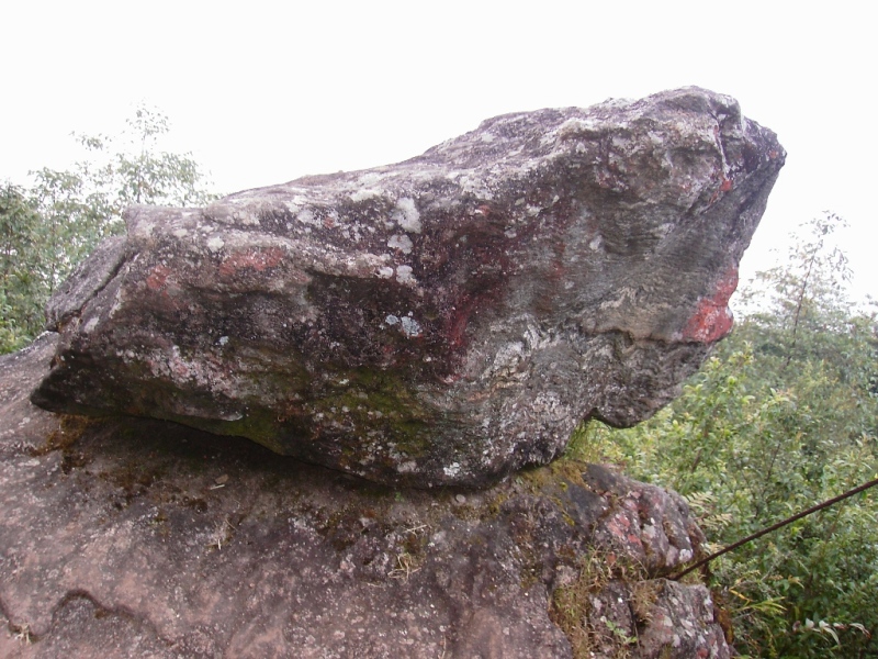 ऐतिहासिक माङ्मालुङ्गको पर्यटन प्रवद्र्धनका लागि पदयात्रा हुँदै