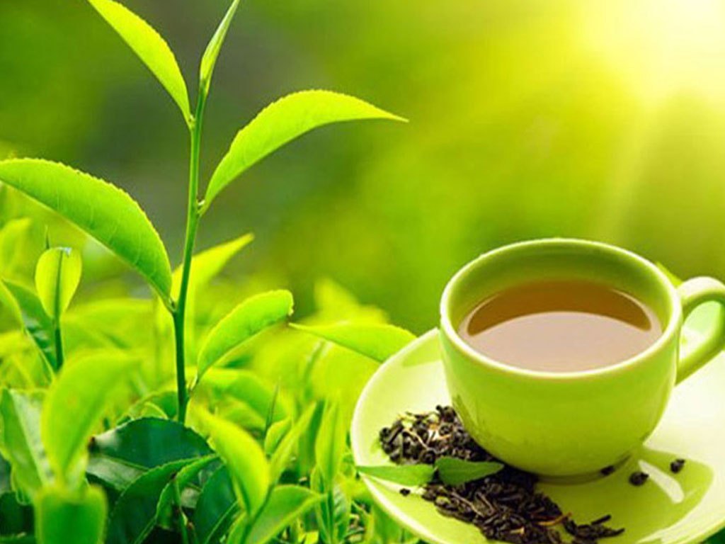 एकपाते सुइरोमा विदेशी मख्ख