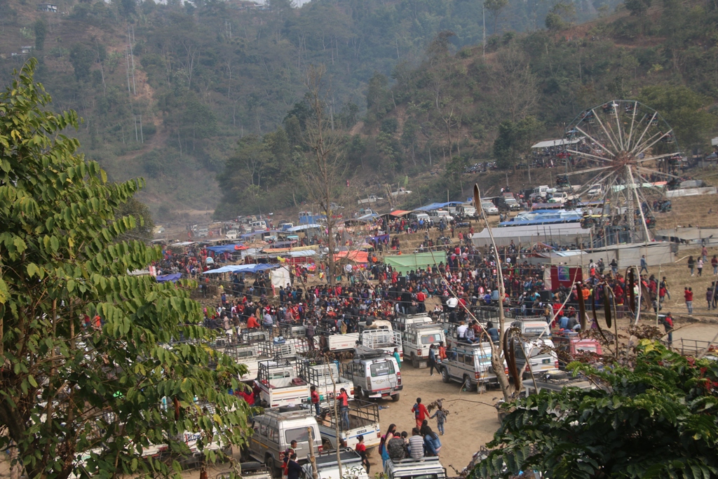 माईबेनी मेलाको रौनक शुरुः बढ्दाे उखु र तरुलकाे व्यपार (फोटो फिचर)