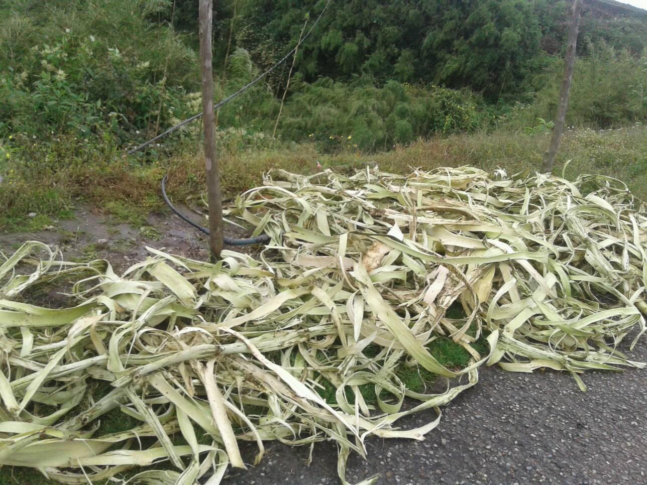अर्गेलीमा पुग्दैन सरकारी अनुदान