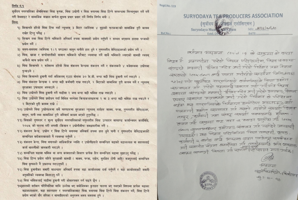 सूर्योदय टी एशोसिएसनले उद्योग नचलाउने, नगरले चिया टिप्न आग्रह
