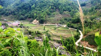 भुक्तानी नहुँदा फिक्कल-नयाँबजार सडक कालोपत्रेको काम रोकियो