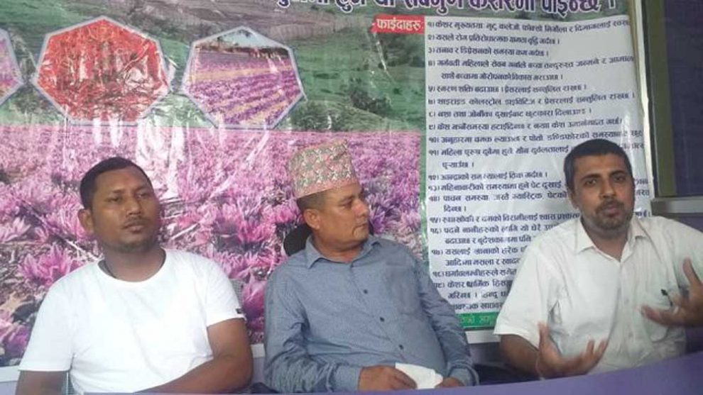 इलाममा गरिएको बहुमुल्य केसर खेतीमा लकडाउन प्रभाव