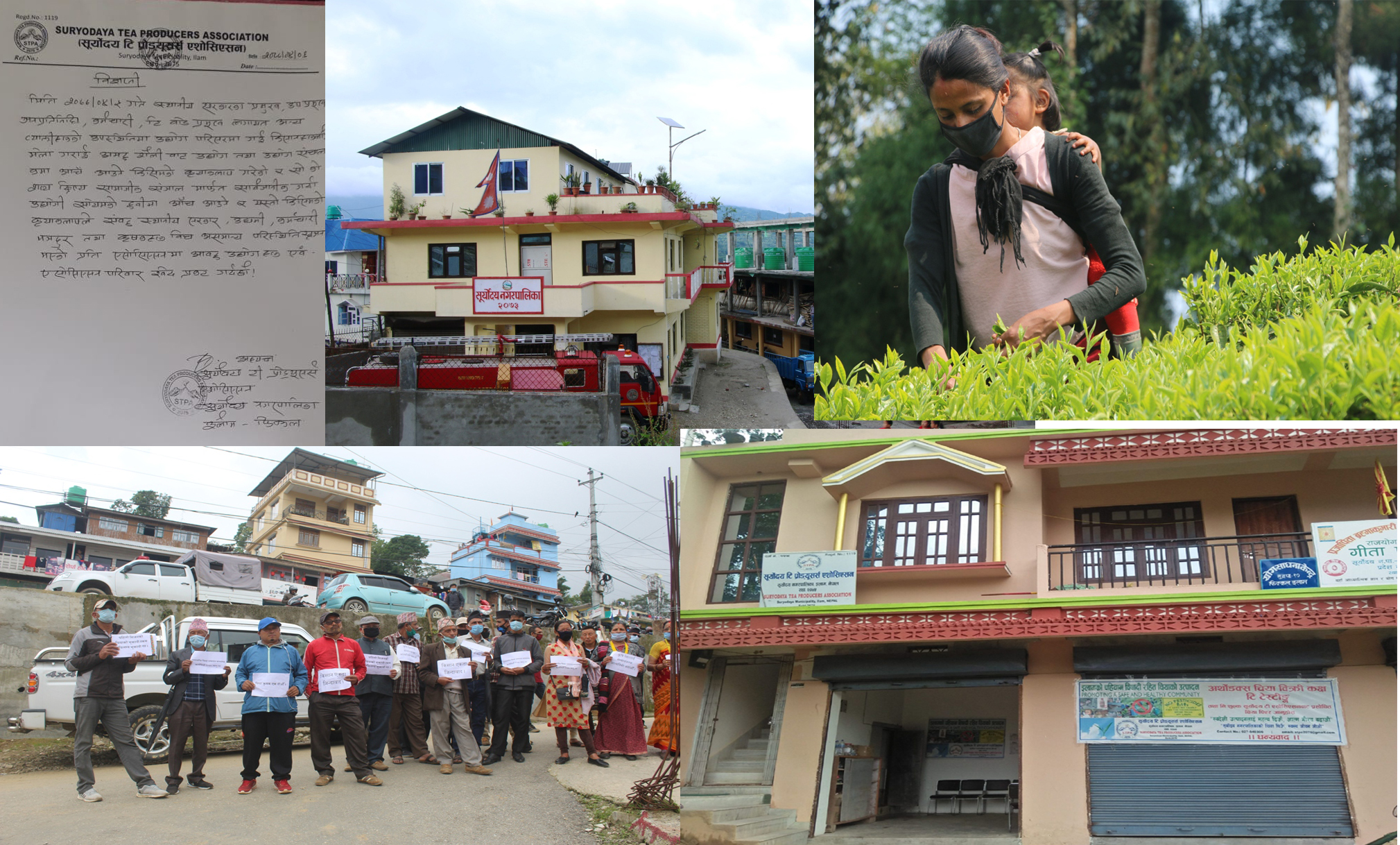 सूर्योदय नगरपालिकाको चियामा सधै विवाद