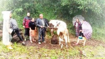 सन्दकपुर गाउँपालिकाका किसानलाई चौपाया र घाँसको बिरुवा वितरण