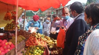 कलिलैमा किवि बजारमा पुगेपछि अनुगनम तिव्र