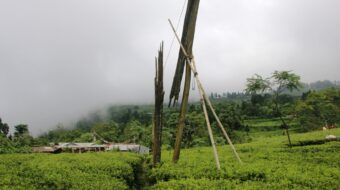 विद्युतिय धरापका जनताका  घर उज्यालो बनाउने विद्युत प्रशारण लाइन (फोटो फिचर )