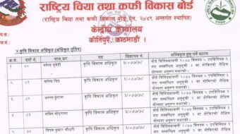 चिया विषयको स्नातक उपाधि प्राप्त  जनशक्तिले चिया बोर्डमा नै अवसरबाटै बञ्चित