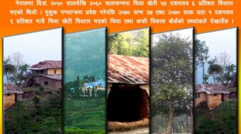 चिया खेती : राजतन्त्रमा कडा, गणतन्त्रमा फिक्का !