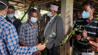 हरियोपत्तीको मुल्य उद्योगले मनपरी तोकेपछि सूर्योदयमा अनुगमन