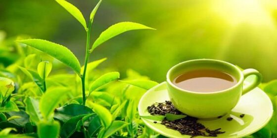चियामा ‘ट्रेसाबिलिटी सिस्टम’