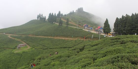 कन्याम फेरि सुनसान बन्दै