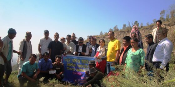 प्युरे पहिरोपीडितलाई रोङ गाउँपालिकाले गर्‍यो सहयोग