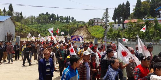माईजोगमाई गाउँपालिकामा बिजय पश्चात नेकपा एमाले र्याली (फाेटाे फिचर)