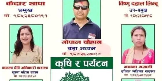 इलाम नगरपालिका–९ मा कांग्रेसको प्यानल बिजयी
