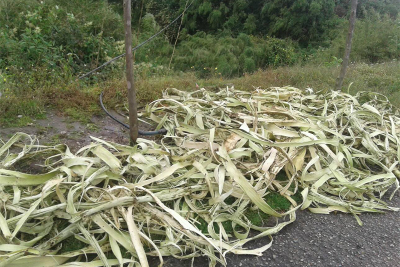 सरकारी अनुदान पर्खिंदै लोक्ता र अर्गेली