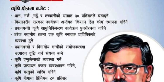 बजेटको आकार १७ खर्ब ९३ अर्ब ८३ करोड