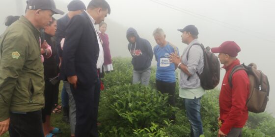 चियाको गुणस्तर वृद्धि गर्न चिया तथा कफि विकास बोर्डले किसानलाई तालिम (फोटो फिचर )