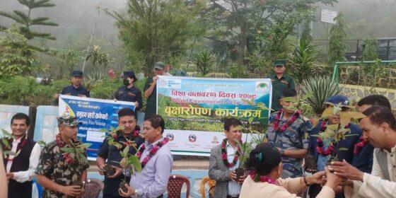 विश्व वातावरण दिवसमा इलाम नगरपालिकामा वृक्षारोपण